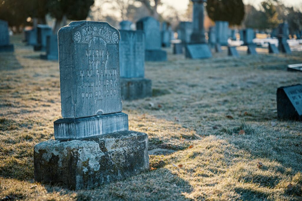 cemetery-3643290 cemetery